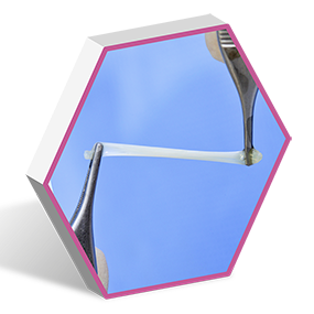 Endoret prgr membrane